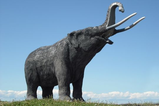Mastodon Twitter Alternative Für Unternehmen Mammut Skulptur Stoßzähne