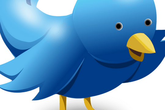 Twitter Einsteiger Tipps Vogel
