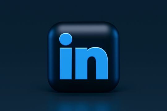 LinkedIn in der B2B-Kommunikation, Logo