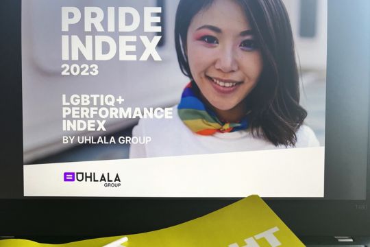 FLU20Y, Flutlicht, Pride Index, Diversity